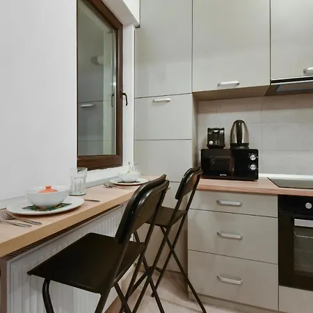 Basarab Nathan Studio Bukarest