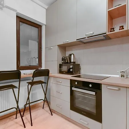 Apartment Basarab Nathan Studio