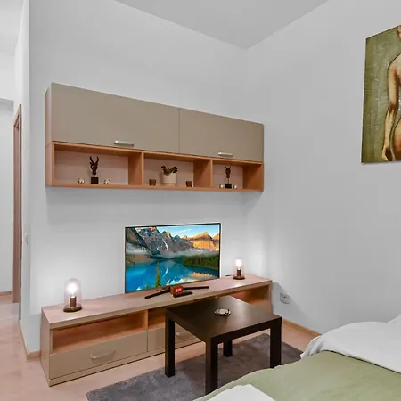 Appartement Basarab Nathan Studio *